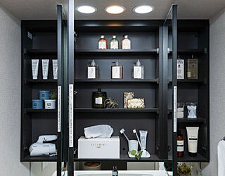 ザ・札幌タワーズ　イーストタワー 収納付三面鏡