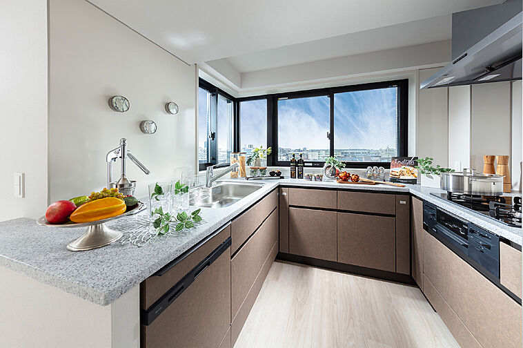 ザ・ライオンズ西川口 専有部