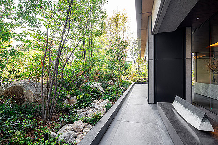 ザ・ライオンズ世田谷八幡山 植込