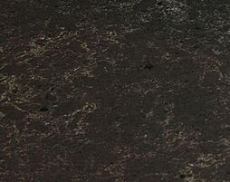 ザ・ライオンズ横川 設備