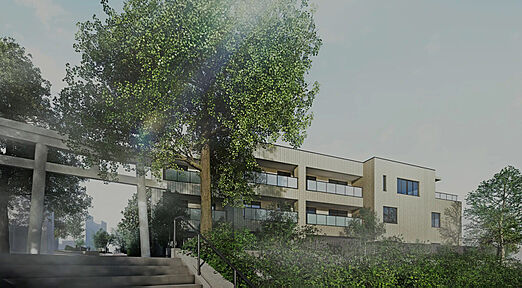 物件のポイント