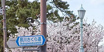周辺環境