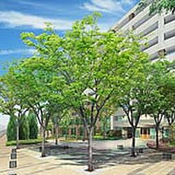 ディアパークス(コンフォートスクエア)