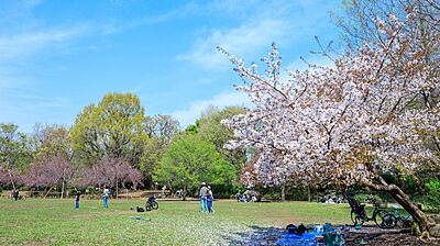 立野公園 約240m（徒歩3分）