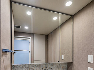 パークホームズ上板橋 三面鏡