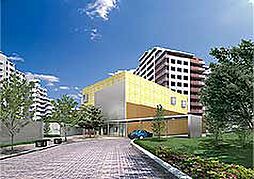 GENECITY(第4期)