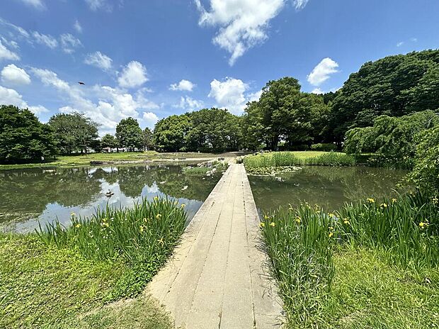 清瀬金山緑地公園（約790m）
