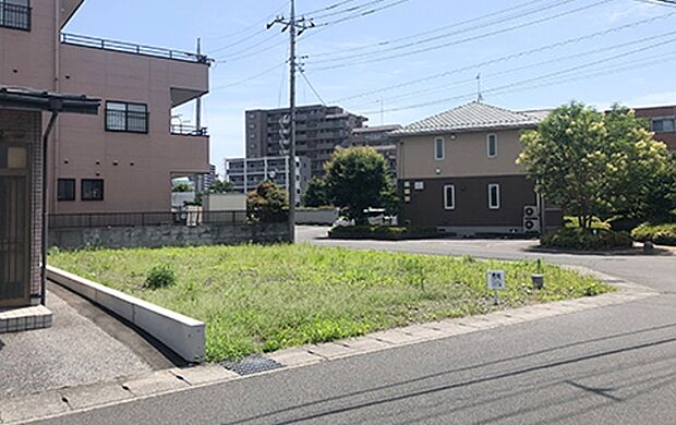 1号地：令和5年7月撮影