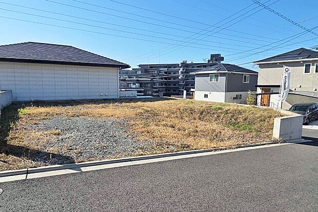 ※現地写真［7号地］