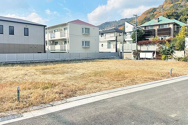 ※現地写真［4号地］