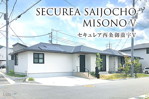 1号地