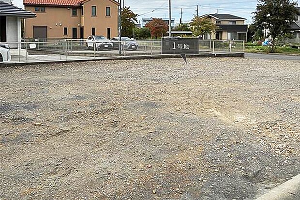 ※現地写真［1号地］
