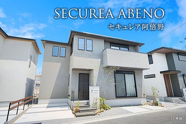 31号地