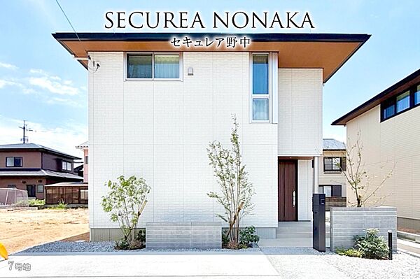 7号地