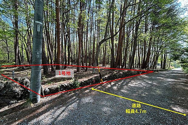 1号地 現地写真