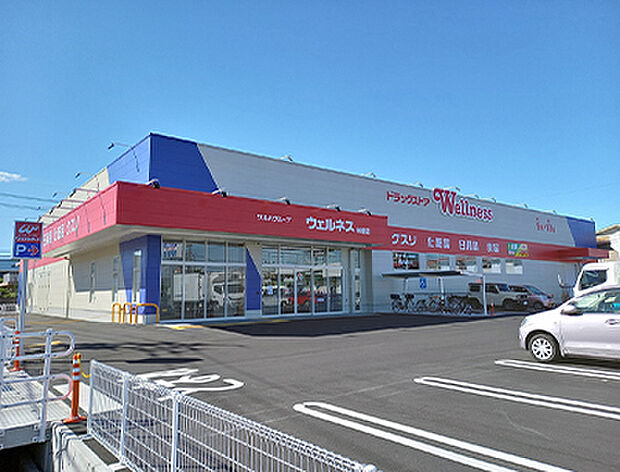 ドラッグストアウェルネス米原店