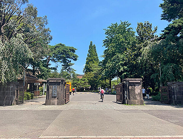 一橋大学