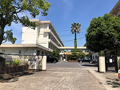 寒田小学校 約780m
