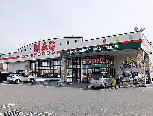 マグフーズ中島店