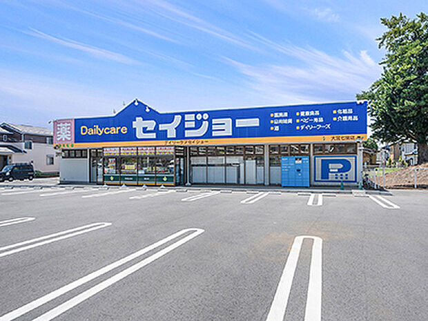 デイリーケアセイジョー(ココカラファイン)大宮七里店