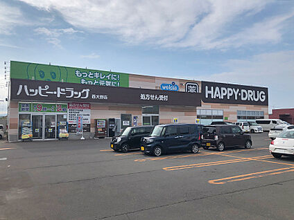 ハッピー・ドラッグ青森西大野店 約210m