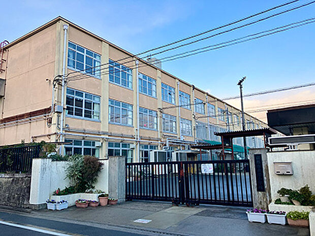 京都市立葵小学校