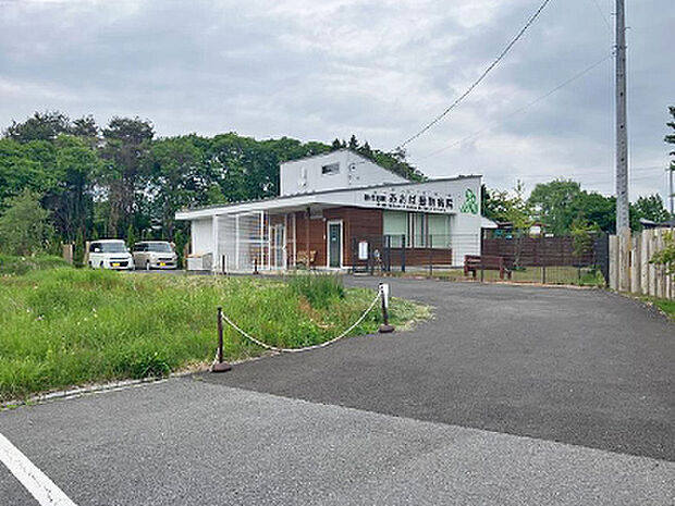 御代田町あおば動物病院