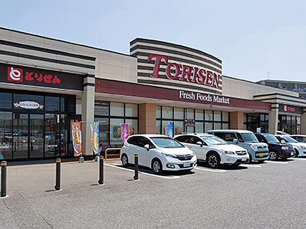 とりせんみらい平店