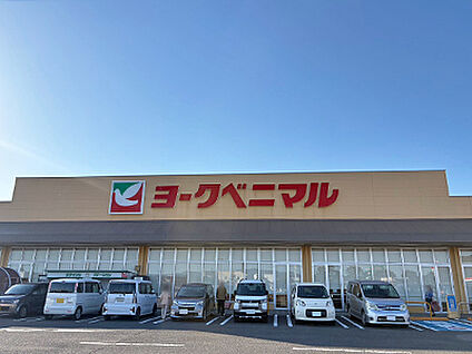 ヨークベニマル 福島西店 約550m