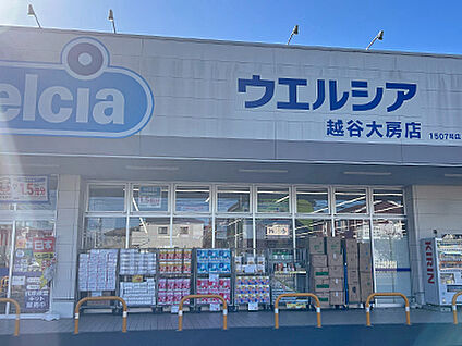 ウエルシア越谷大房店 約470m