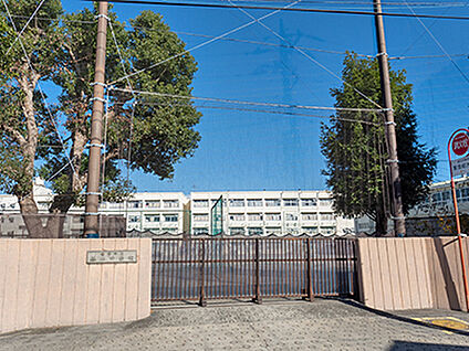 横浜市立谷本中学校 約560m