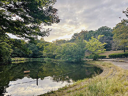 鴨池公園 約400m