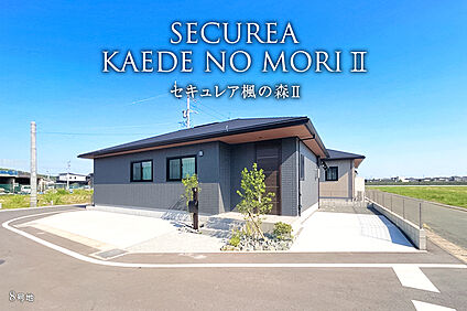 8号地 外観
