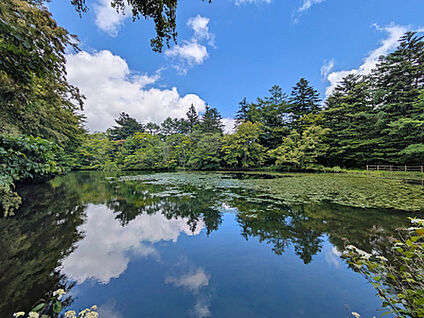 雲場池 約1660m