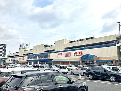 フィール　シャンピアポート店 約1000m