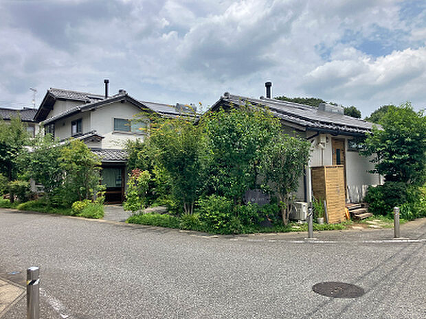 森の診療所