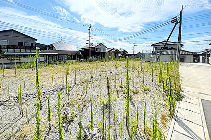 3号地 現地写真