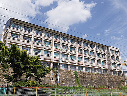 神戸市立御影北小学校 約810m