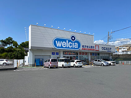 ウエルシア三島谷田店 約710m