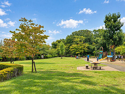 多摩川台公園 約990m