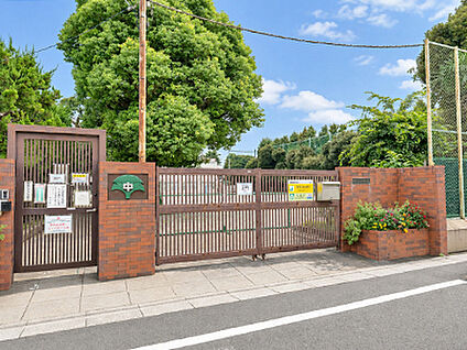区立田園調布中学校 約480m