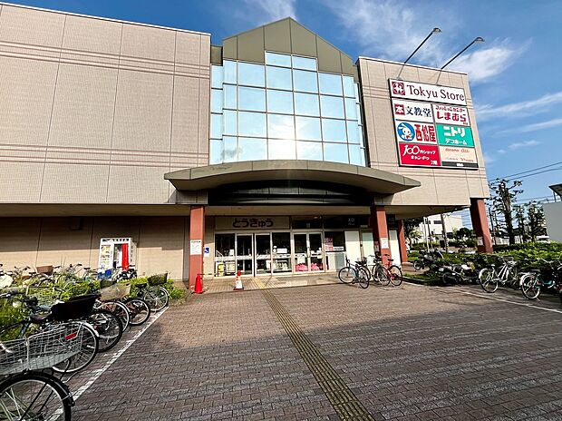 湘南とうきゅう