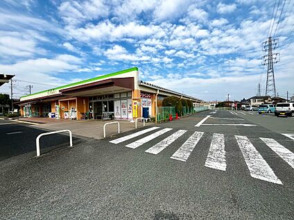 コープみらいコープときわ店 約815m(徒歩11分)