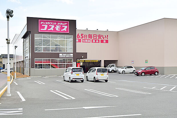 ディスカウントドラッグコスモス西二見駅店(約810m)