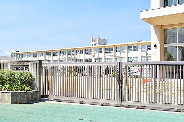 町立播磨小学校（約610m）