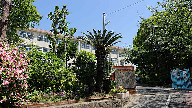 友泉中学校（約1,050m）