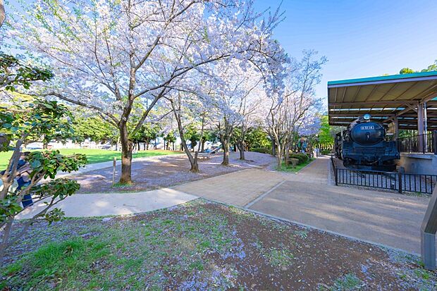 流山市総合運動公園（現地より徒歩11分）