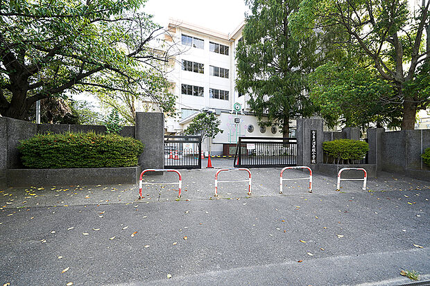 松戸市立河原塚小学校（現地より徒歩13分）