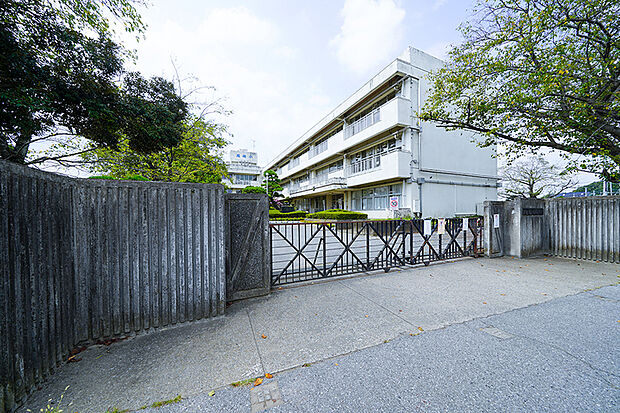 野田市立尾崎小学校（現地より徒歩11分）