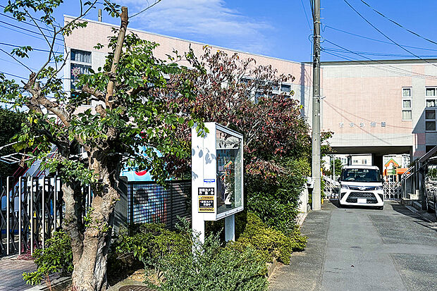 若宮幼稚園（現地より徒歩9分）